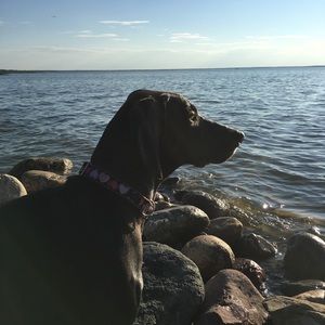 Meet your Posher, Angela